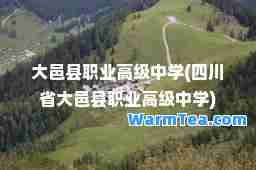 大邑县职业高级中学(四川省大邑县职业高级中学)