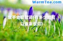 放手去爱歌词(有多少爱可以重来歌词)
