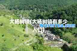 大杨树镇(大杨树镇有多少人口)