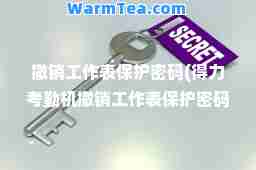 撤销工作表保护密码(得力考勤机撤销工作表保护密码)
