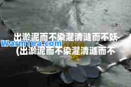 出淤泥而不染濯清涟而不妖(出淤泥而不染濯清涟而不妖的意思)