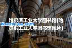 哈尔滨工业大学图书馆(哈尔滨工业大学图书馆图片)