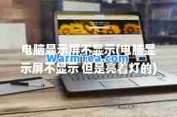 电脑显示屏不显示(电脑显示屏不显示 但是亮着灯的)
