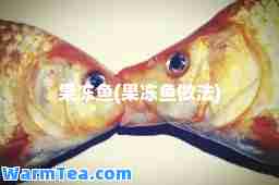 果冻鱼(果冻鱼做法)