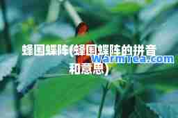 蜂围蝶阵(蜂围蝶阵的拼音和意思)