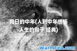 中年(人到中年感悟人生的句子 经典)