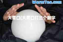 大胃口(大胃口打三个数字)