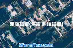 鼎辉投资(焦震 鼎晖投资)
