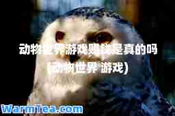 动物世界游戏赚钱是真的吗(动物世界 游戏)