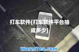 打车软件(打车软件平台抽成多少)