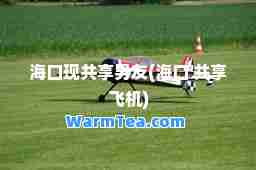 海口现共享男友(海口 共享飞机)