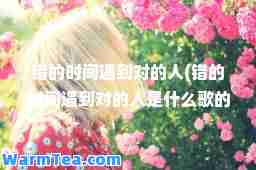 错的时间遇到对的人(错的时间遇到对的人是什么歌的歌词)
