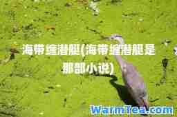 海带缠潜艇(海带缠潜艇是那部小说)