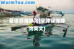菲律宾海豚湾(菲律宾海豚湾英文)