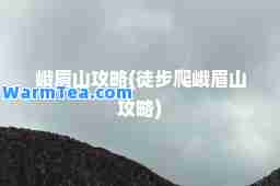 峨眉山攻略(徒步爬峨眉山攻略)