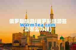 俄罗斯旅游(俄罗斯旅游签证怎么办理)