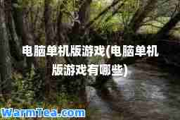 电脑单机版游戏(电脑单机版游戏有哪些)