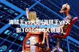 海贼王vs火影(海贼王vs火影1000000人物版)
