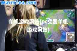 单机游戏网站(pc免费单机游戏网站)