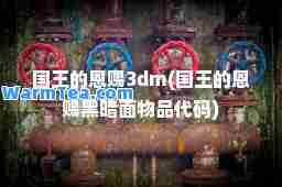 国王的恩赐3dm(国王的恩赐黑暗面物品代码)