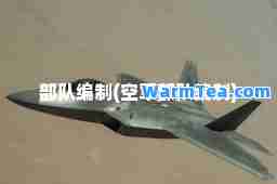 部队编制(空军部队编制)
