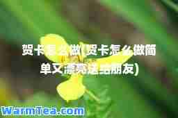 贺卡怎么做(贺卡怎么做简单又漂亮送给朋友)