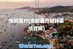 东软医疗(东软医疗软件系统官网)