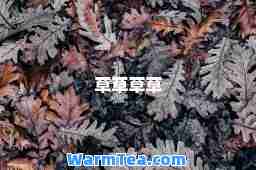 草草草草