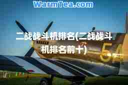 二战战斗机排名(二战战斗机排名前十)