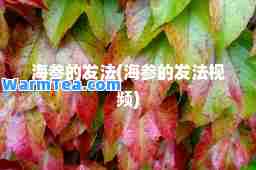 海参的发法(海参的发法视频)