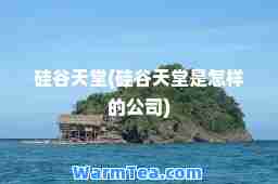 硅谷天堂(硅谷天堂是怎样的公司)