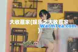 大收藏家(娱乐之大收藏家)
