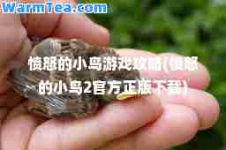 愤怒的小鸟游戏攻略(愤怒的小鸟2官方正版下载)