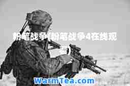 粉笔战争(粉笔战争4在线观看)
