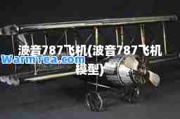 波音787飞机(波音787飞机模型)