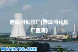 浩良河化肥厂(浩良河化肥厂医院)