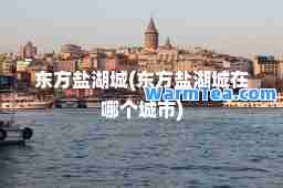东方盐湖城(东方盐湖城在哪个城市)