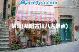 茶阳(茶阳古镇八大景点)