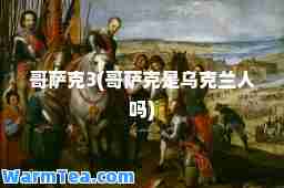 哥萨克3(哥萨克是乌克兰人吗)