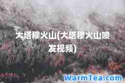 大塔穆火山(大塔穆火山喷发视频)