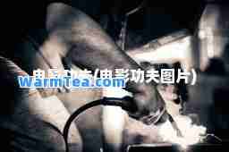 电影功夫(电影功夫图片)