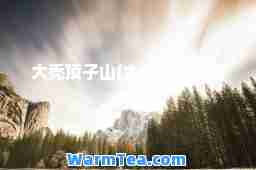 大秃顶子山(大秃顶子山简介)