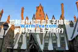 哈利波特和混血王子(哈利波特和混血王子简介)