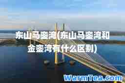 东山马銮湾(东山马銮湾和金銮湾有什么区别)