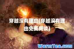穿越没有理由(穿越没有理由免费阅读)