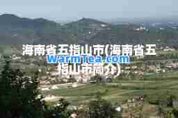 海南省五指山市(海南省五指山市简介)