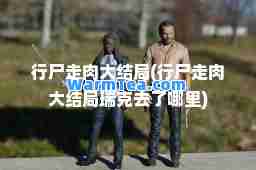 行尸走肉大结局(行尸走肉大结局瑞克去了哪里)