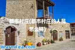 都市村庄(都市村庄的人品怎么样)