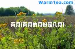 荷月(荷月的月份是几月)