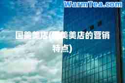 国美美店(国美美店的营销特点)